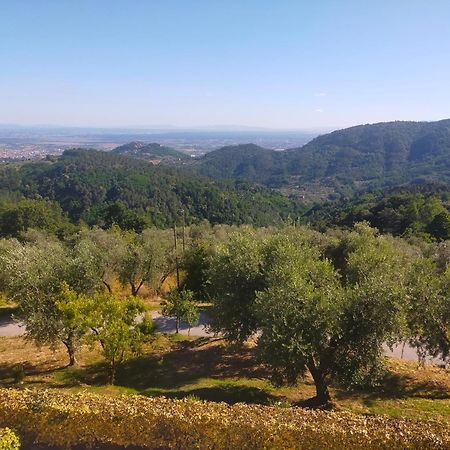 Agriturismo Il Bel Vedere Bed and Breakfast Marliana Εξωτερικό φωτογραφία