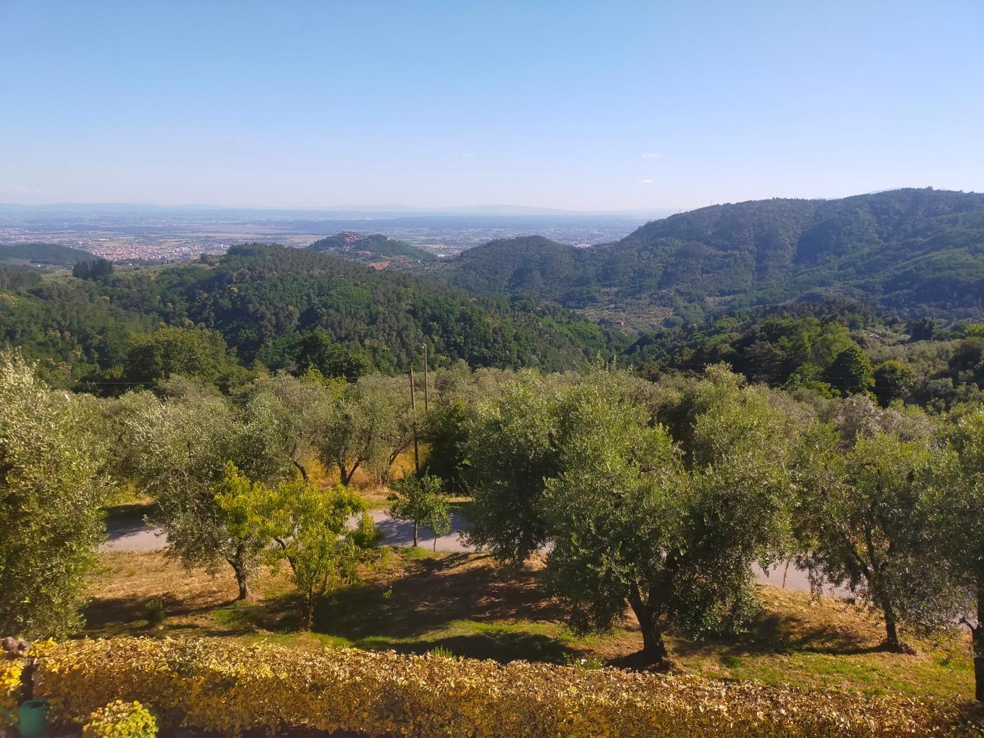 Agriturismo Il Bel Vedere Bed and Breakfast Marliana Εξωτερικό φωτογραφία